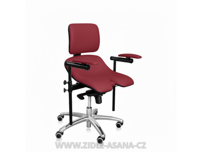 Ergonomická židle Ásana Medic Dent Ekokůže, Red